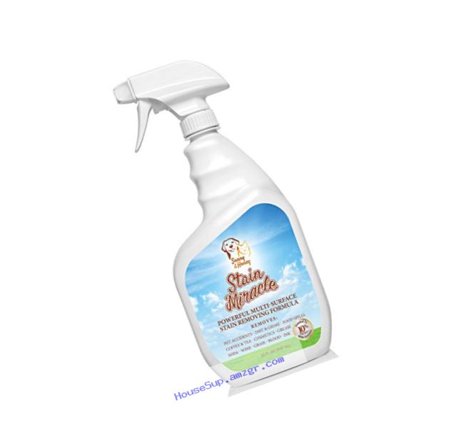 Sunny & Honey Stain Miracle Powerful Multi-Surface Stain Remover, 32 fl. oz.