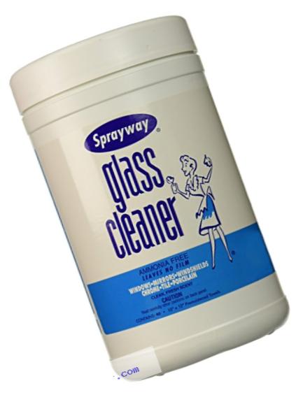 Glass Cleaner Wipes (10